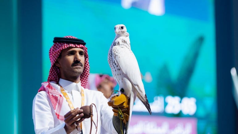 صقر أمريكي يحصد لقب الأغلى في مزاد بالسعودية  